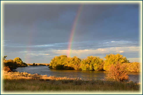 Henry's Fork offers more than two pots of gold.